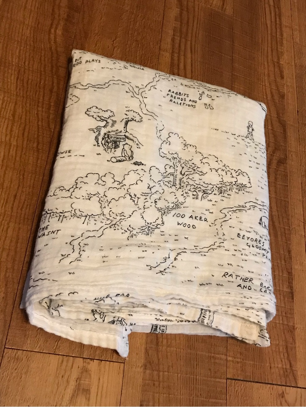 Pottery Barn Disney Winnie The Pooh 100 Acre Woods Cotton baby Swaddle Blanket